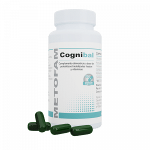 COGNIBAL
